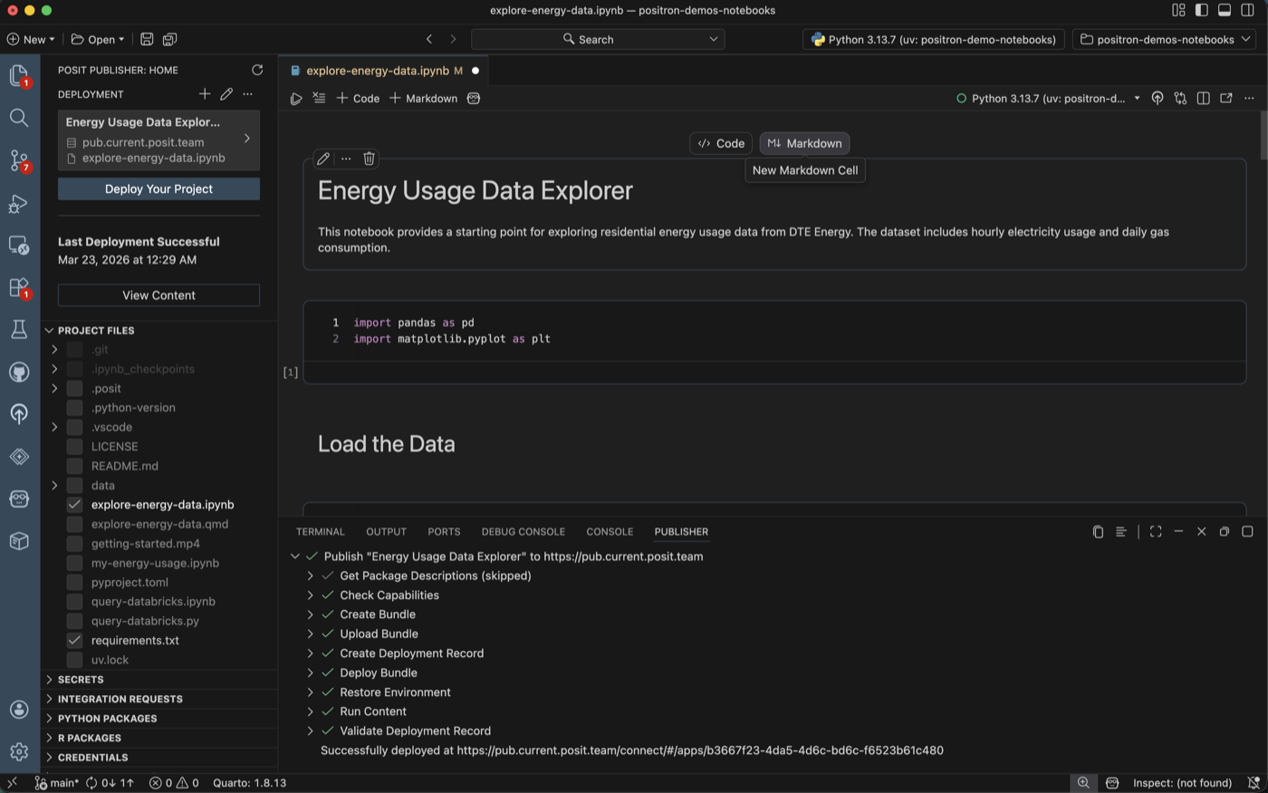 Publishing a notebook to Posit Connect from Positron