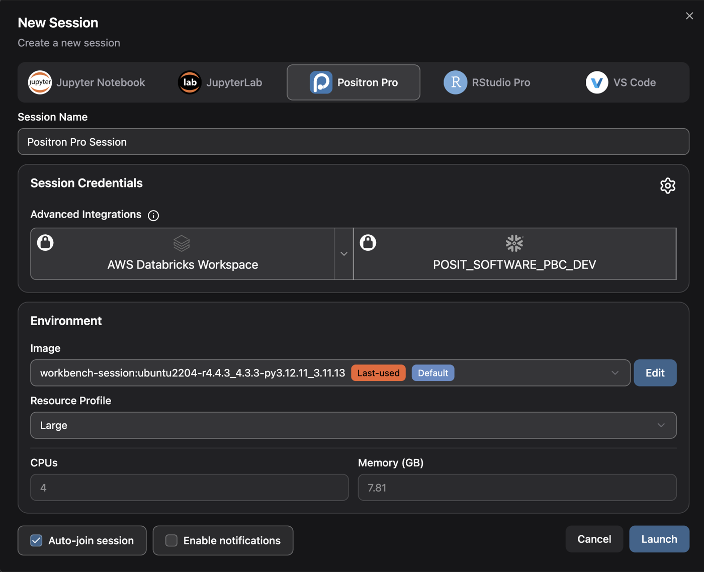 Positron running in the browser through Posit Workbench
